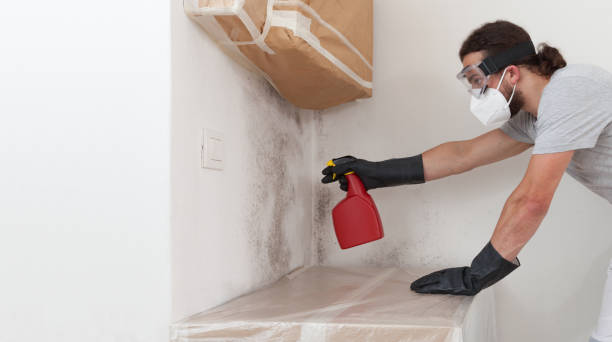 Attic Mold Remediation treatment on roof deck in Goldvein